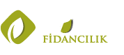 Panç Footer Logo